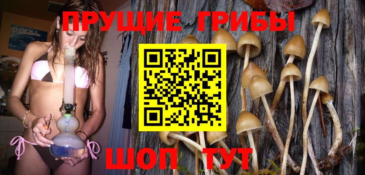 Псилоцибиновые грибы GOLDEN TEACHER Шахты
